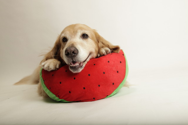 ファイル 3731-4.jpg