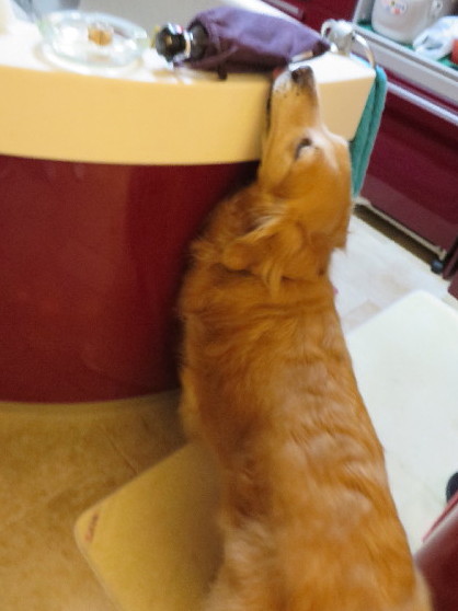 ファイル 3734-3.jpg