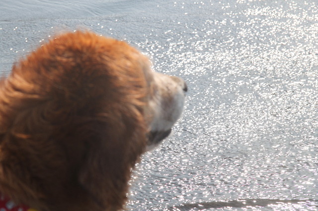 ファイル 3735-2.jpg