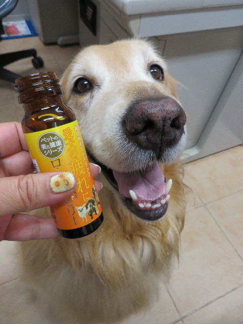 ファイル 3736-1.jpg