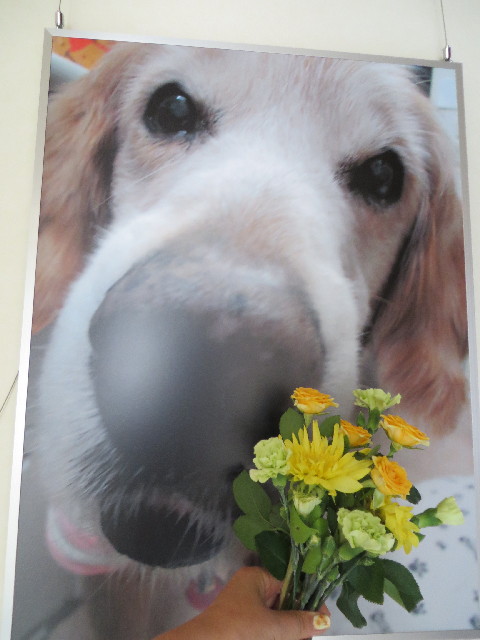 ファイル 3736-4.jpg