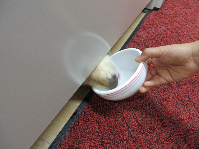 ファイル 3738-1.jpg