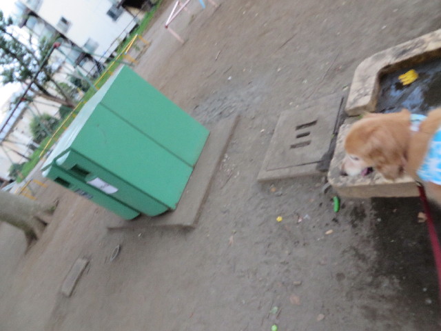 ファイル 3738-5.jpg