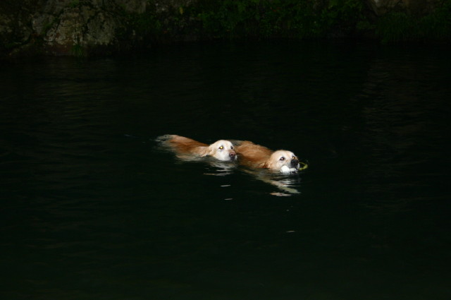 ファイル 374-3.jpg