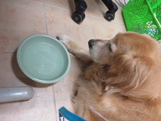 ファイル 3742-1.jpg