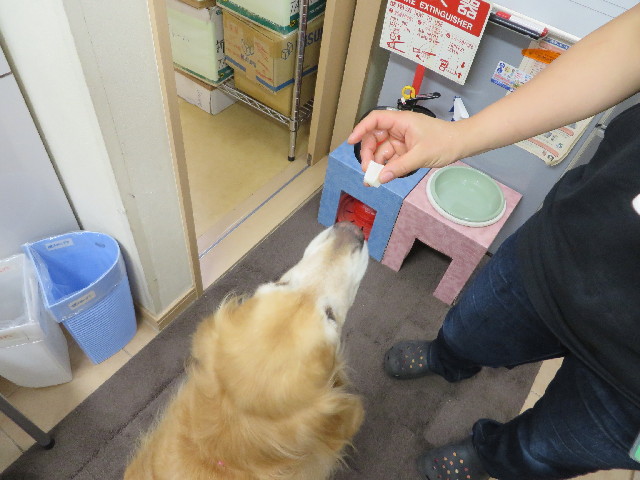 ファイル 3742-3.jpg