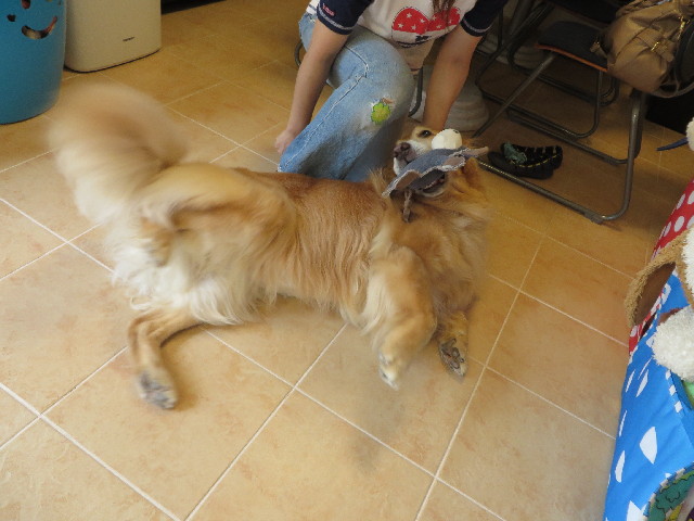 ファイル 3742-4.jpg