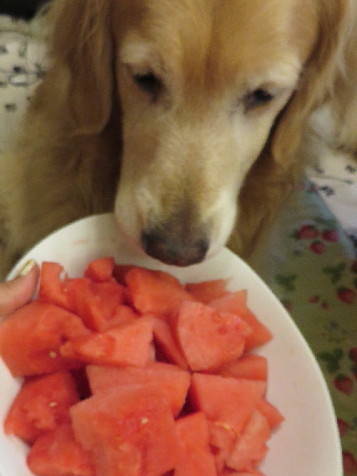 ファイル 3743-1.jpg