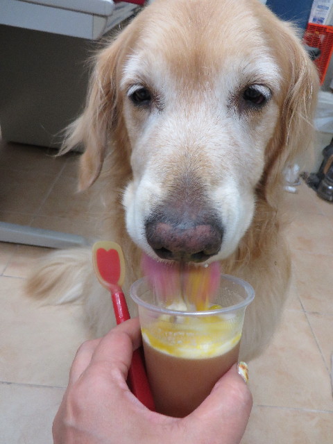 ファイル 3743-3.jpg