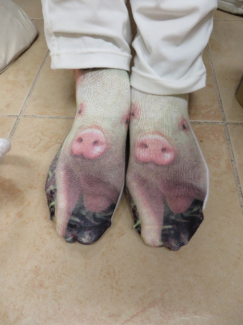 ファイル 3743-5.jpg