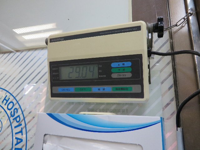 ファイル 3744-2.jpg