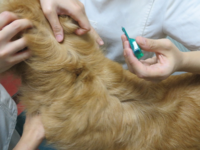 ファイル 3744-5.jpg