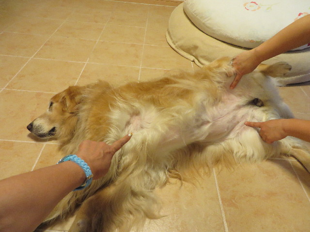 ファイル 3745-2.jpg