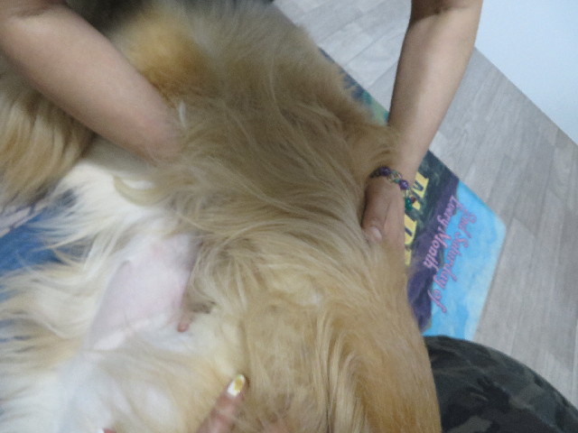 ファイル 3747-5.jpg