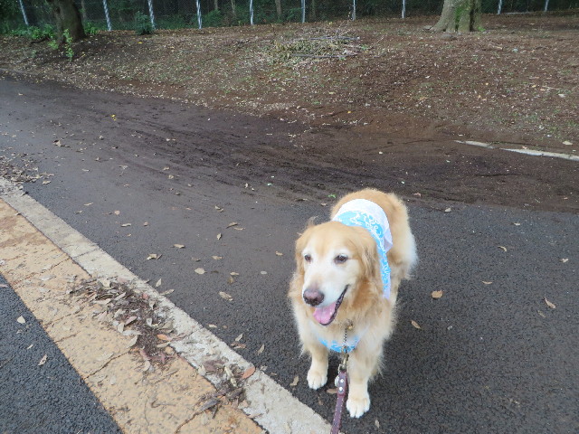 ファイル 3748-2.jpg