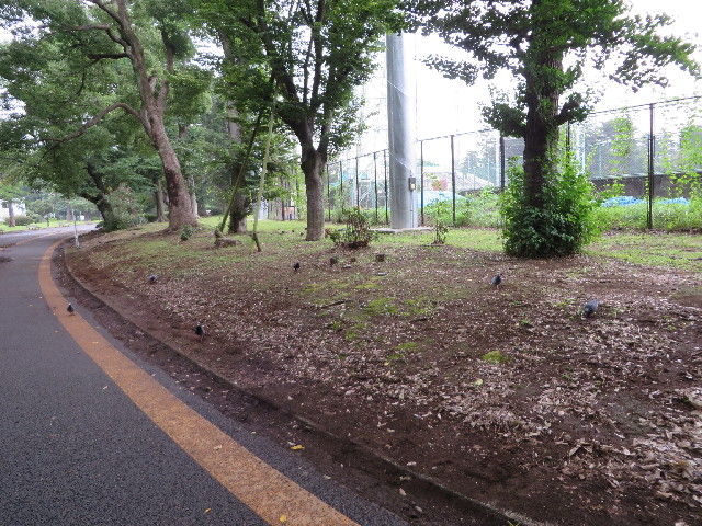 ファイル 3748-3.jpg