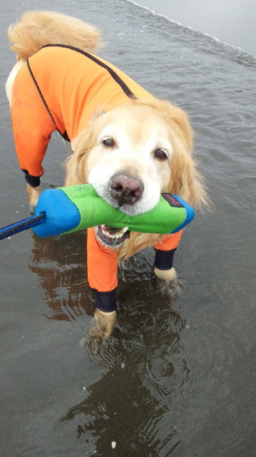 ファイル 3749-1.jpg