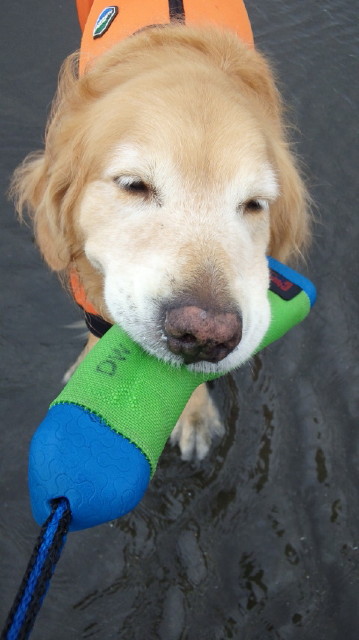 ファイル 3749-3.jpg