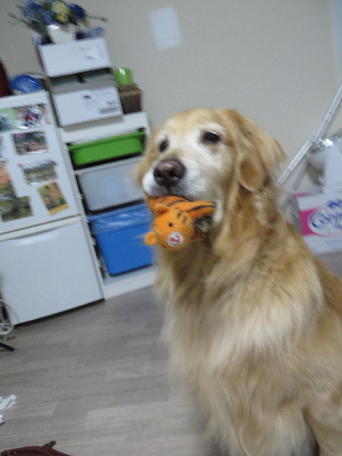 ファイル 3750-5.jpg