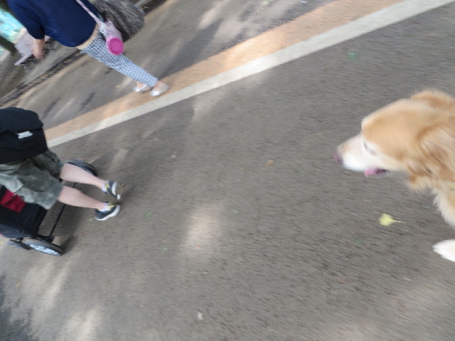 ファイル 3753-2.jpg