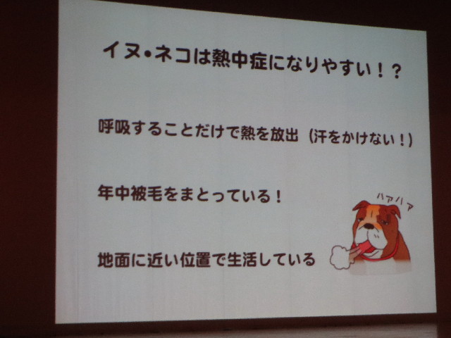 ファイル 3754-3.jpg