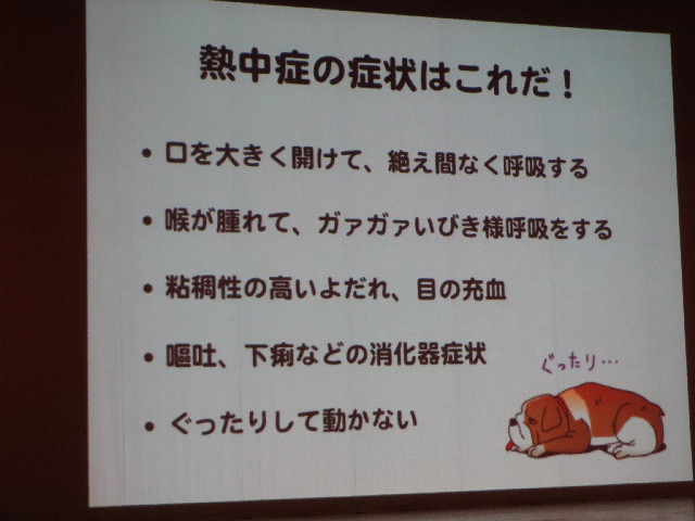 ファイル 3754-4.jpg