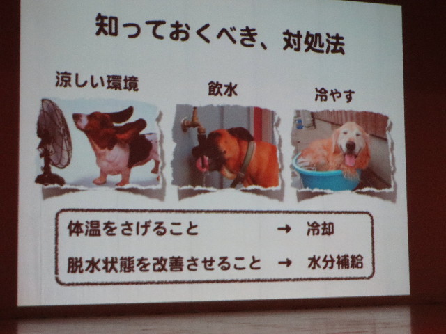 ファイル 3755-1.jpg