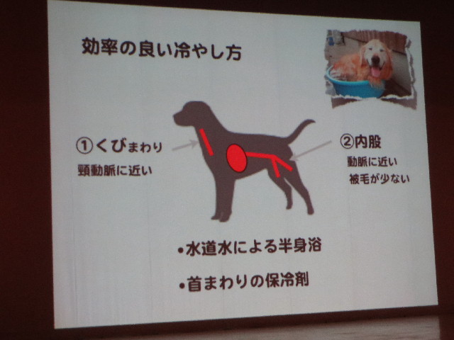 ファイル 3755-2.jpg