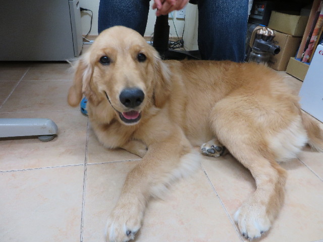 ファイル 3757-2.jpg