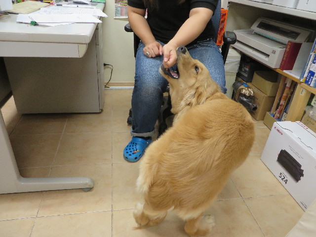 ファイル 3757-3.jpg