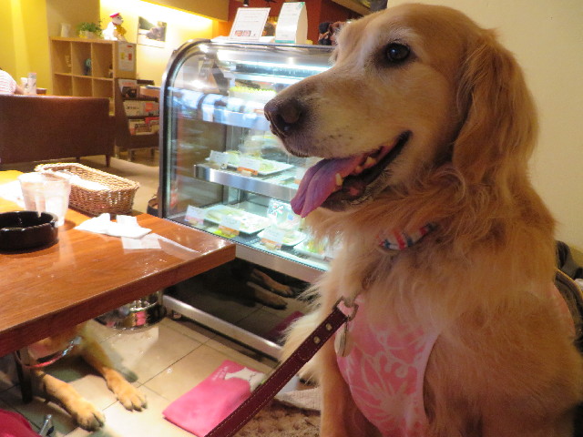 ファイル 3759-3.jpg