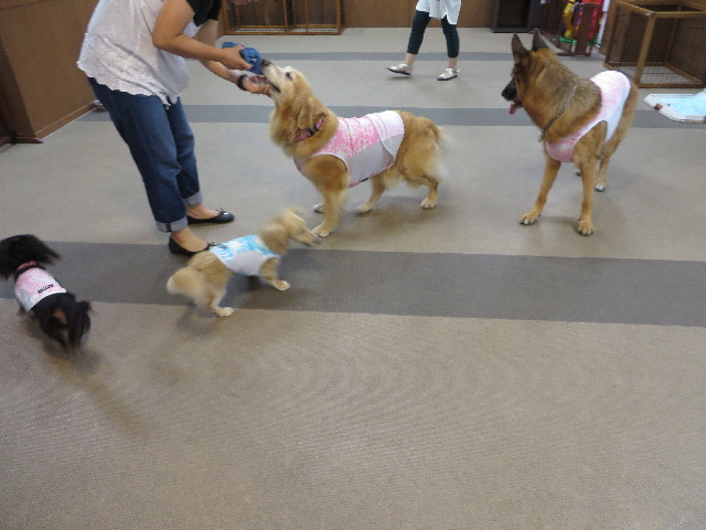 ファイル 3760-1.jpg