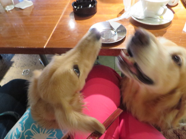 ファイル 3761-2.jpg