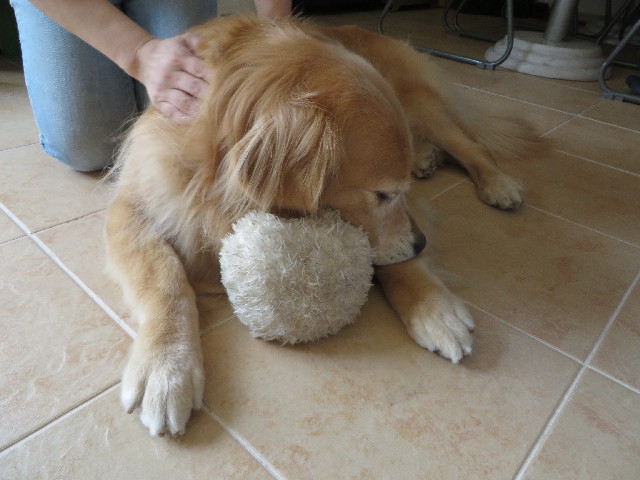 ファイル 3762-3.jpg