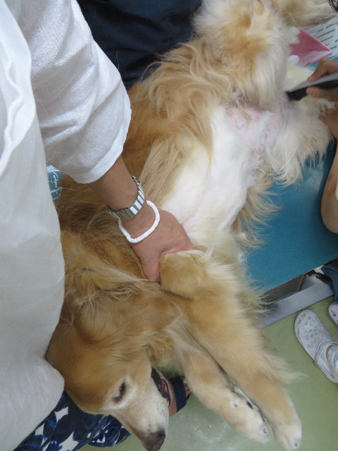 ファイル 3766-4.jpg