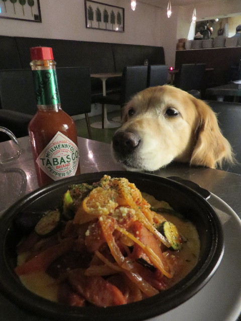 ファイル 3767-5.jpg