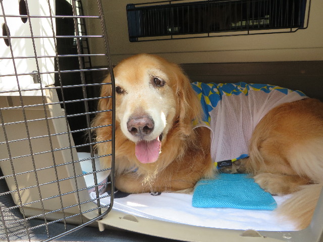 ファイル 3769-2.jpg