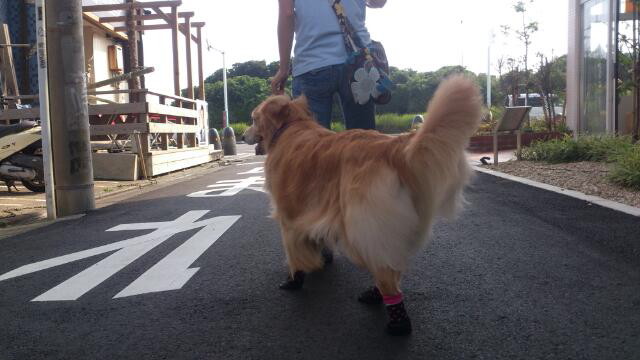 ファイル 3769-5.jpg