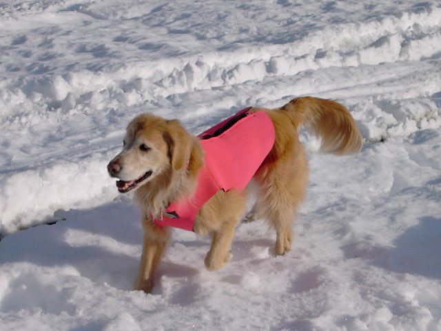 ファイル 3770-2.jpg