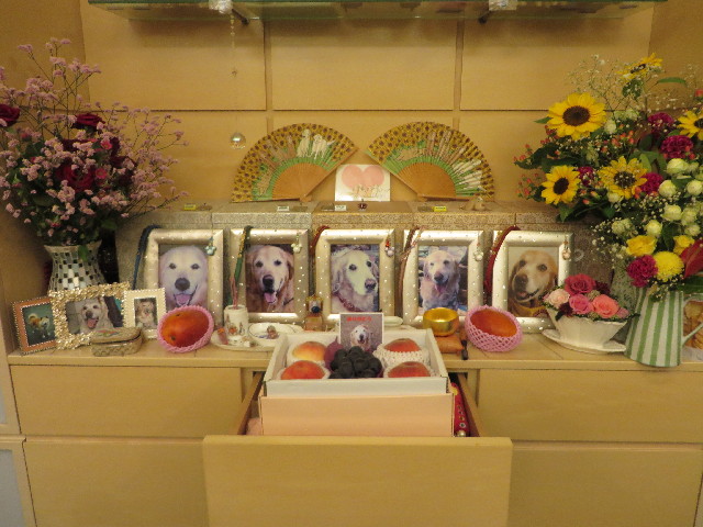 ファイル 3770-3.jpg