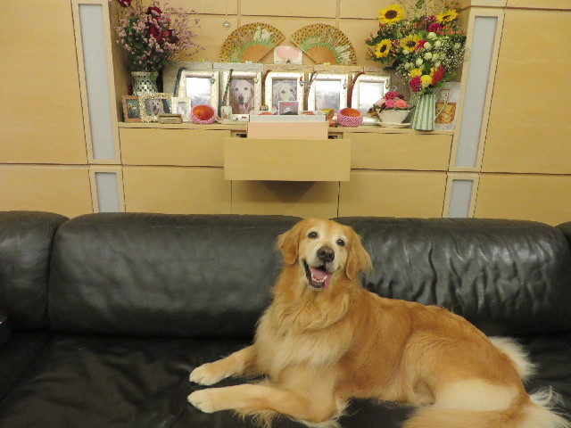 ファイル 3770-4.jpg