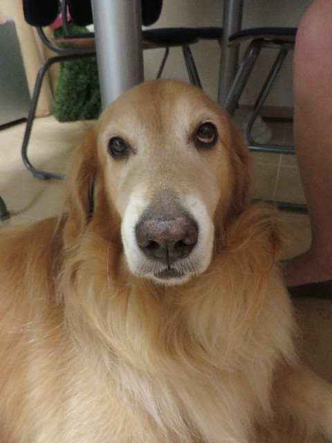 ファイル 3780-2.jpg