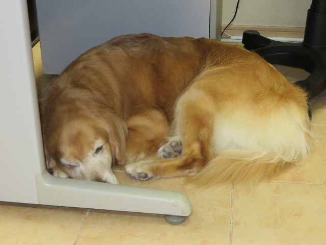 ファイル 3780-3.jpg