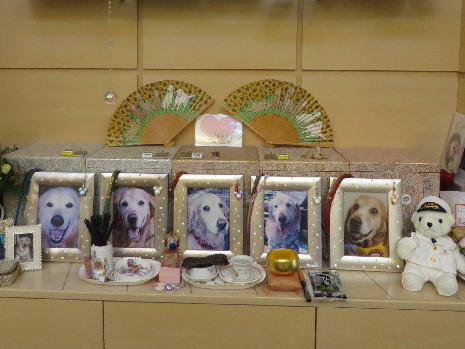 ファイル 3780-4.jpg