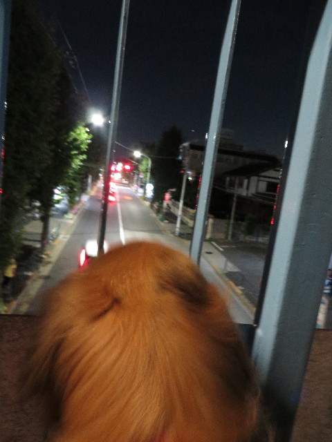 ファイル 3781-4.jpg