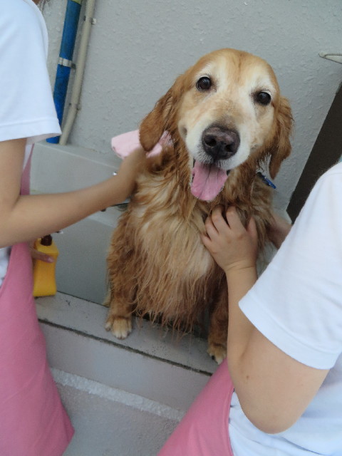 ファイル 3783-3.jpg