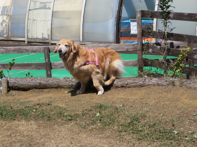 ファイル 3784-1.jpg