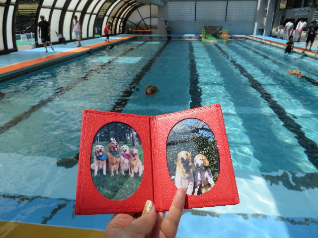 ファイル 3784-2.jpg