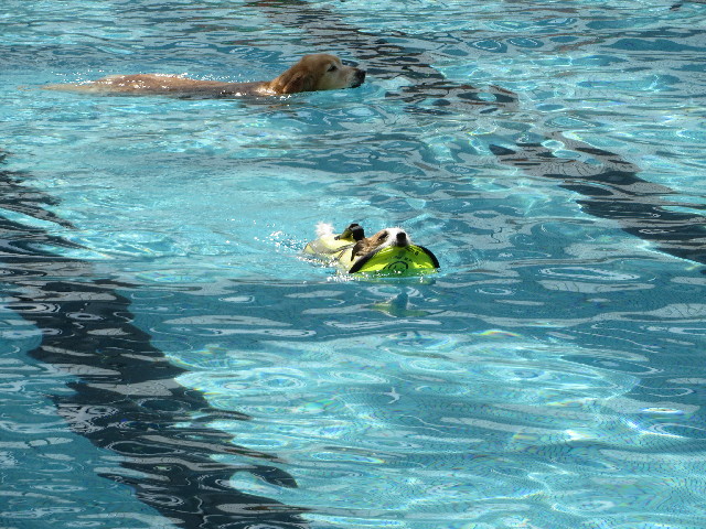 ファイル 3784-4.jpg