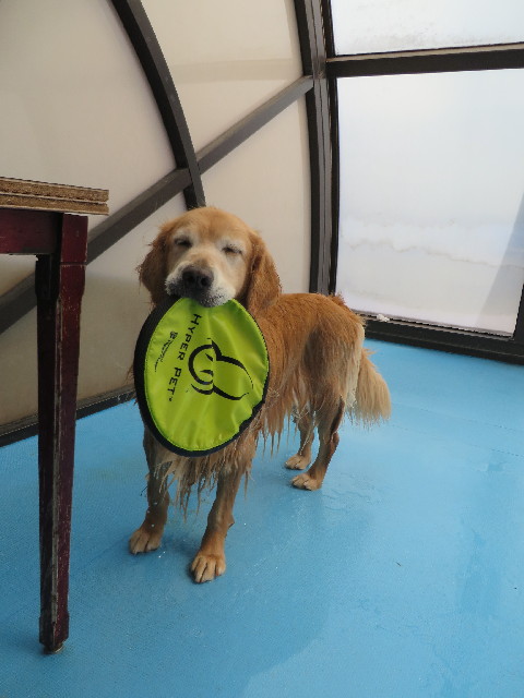 ファイル 3785-1.jpg